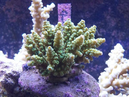 20141230_223543.jpg