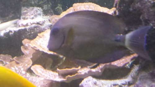 20141231_125639.jpg