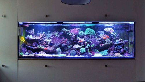 FTS