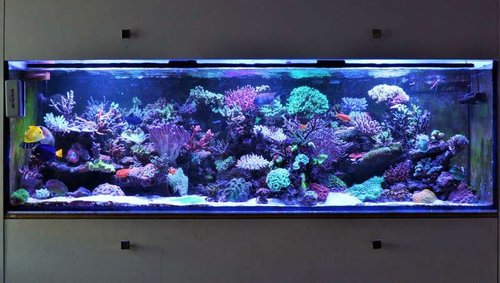 FTS