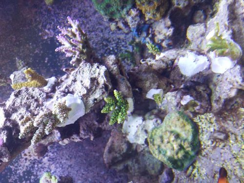 20150102_181021.jpg