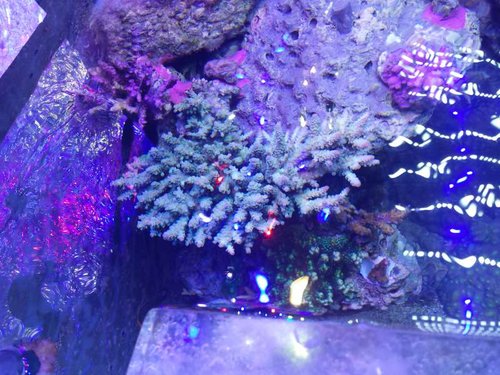 20150102_181104.jpg