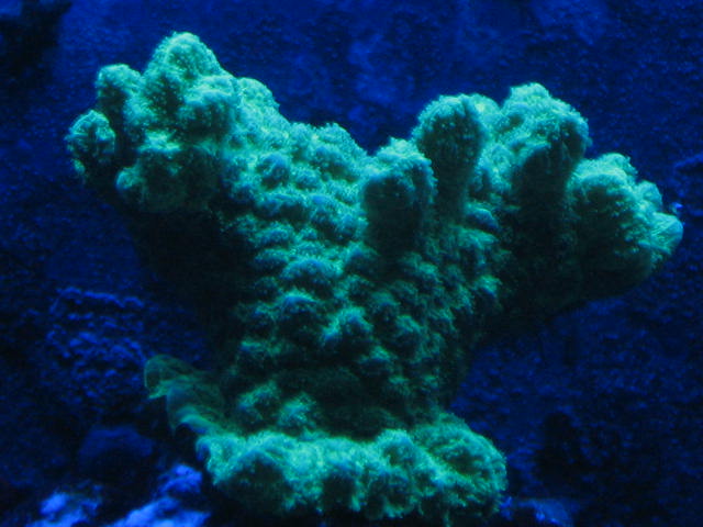 IMG_6183.JPG
