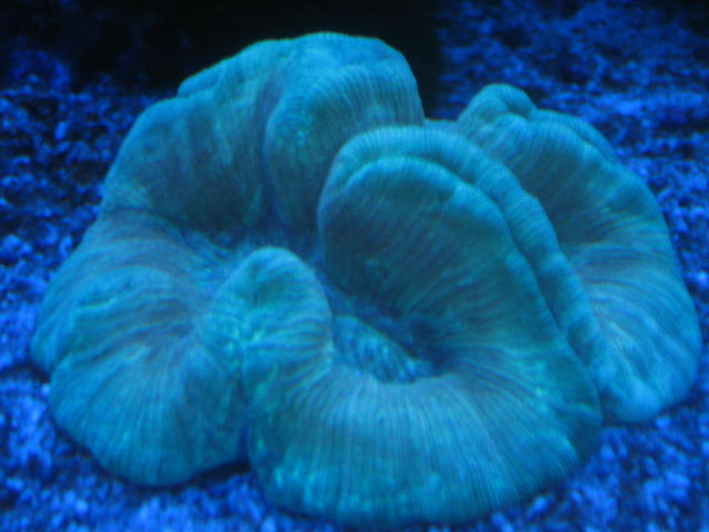 IMG_6172.JPG