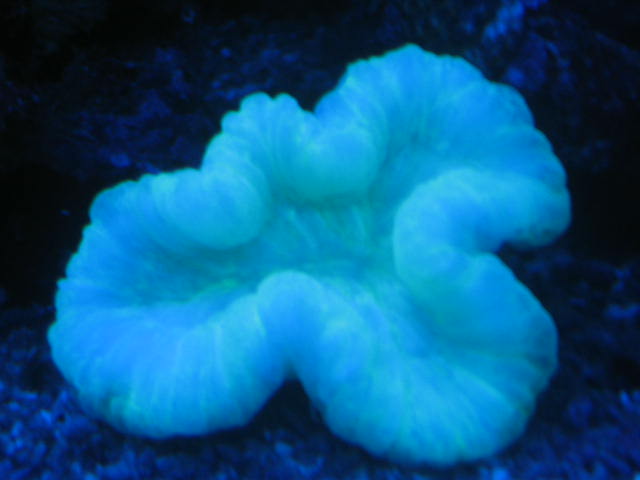 IMG_6173.JPG