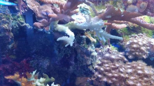 20150103_190430.jpg
