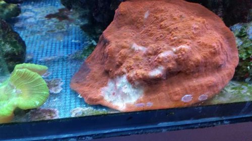 20150103_190346.jpg