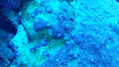 20150104_131134.jpg