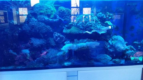 20150104_131400.jpg