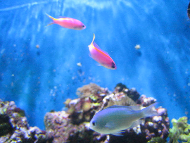 IMG_6222.JPG