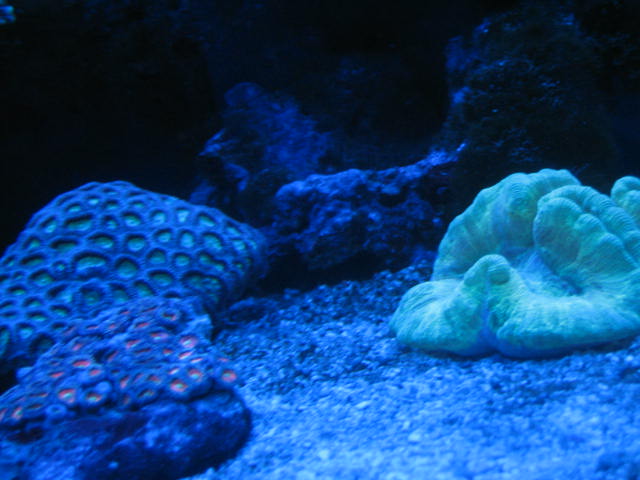 IMG_6202.JPG