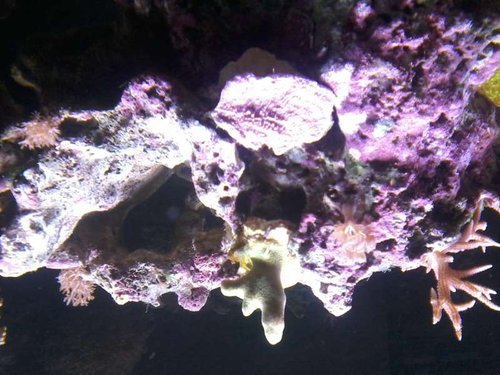 20150104_210528.jpg