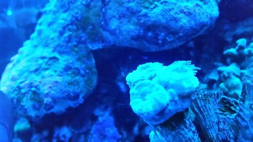 20150104_234818.jpg