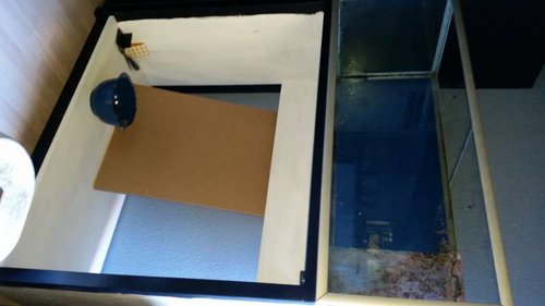 20141009_175427.jpg