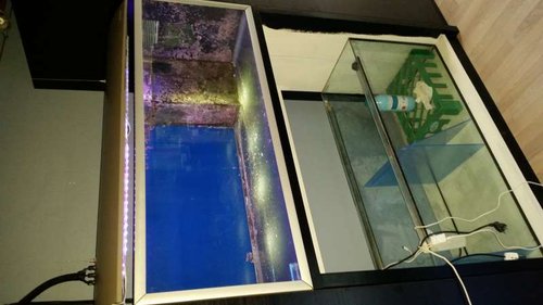 20141011_175437.jpg