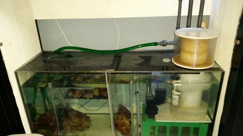 20141025_140148.jpg