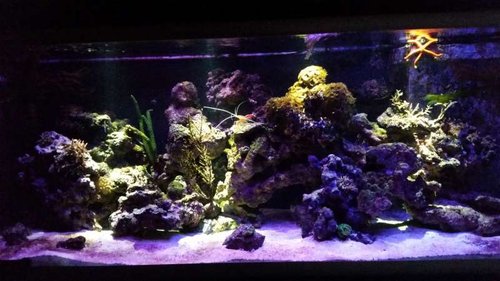 20141208_223157.jpg