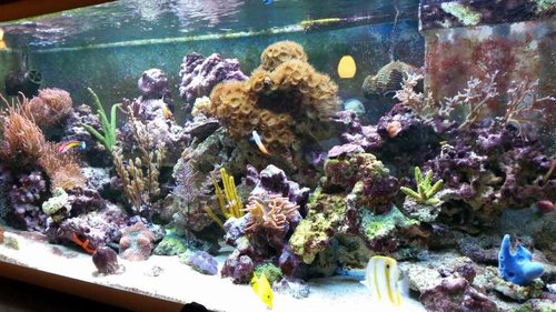 20150110_153026.jpg