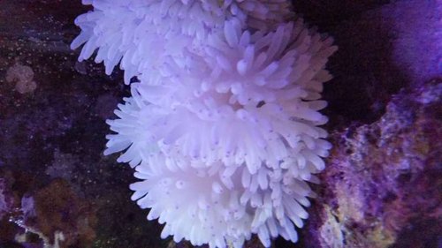 20141221_235321-1.jpg