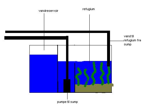 Refugium.jpg