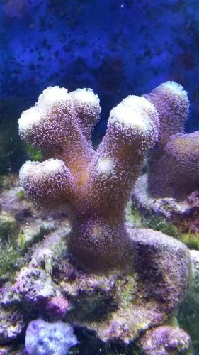 20150112_121042.jpg