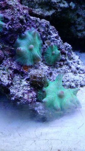 20150112_121133.jpg