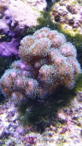 20150112_121150.jpg