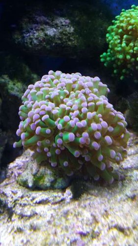 20150112_121251.jpg