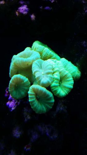 20150112_121323.jpg