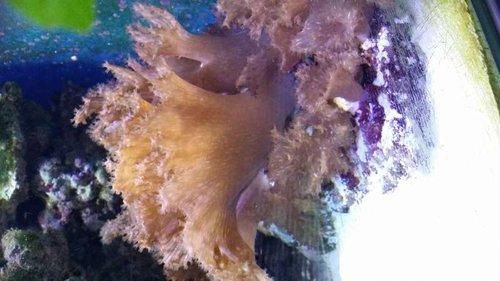 20150112_121342.jpg
