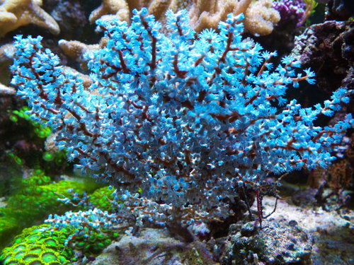 DSCF9752.jpg