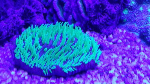 20150117_235259.jpg