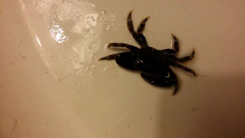 20150124_220548.jpg