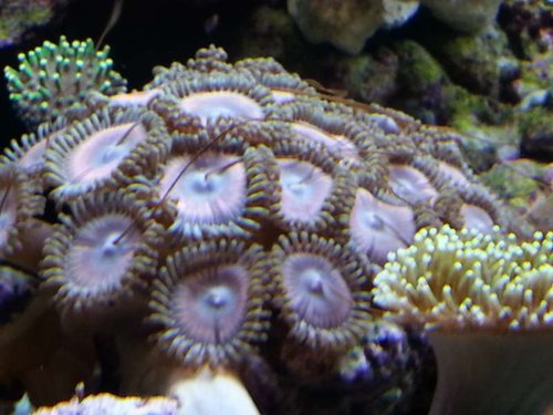 20150125_143249.jpg