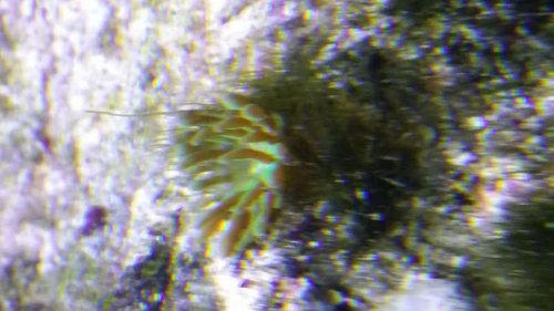20150125_192051.jpg