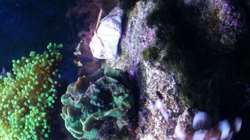 20150125_212151.jpg