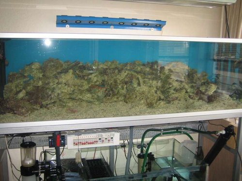 opstart akvarie 009.JPG