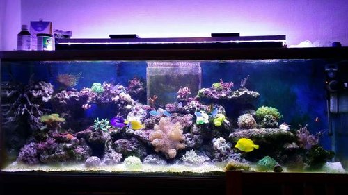 20150127_204534.jpg