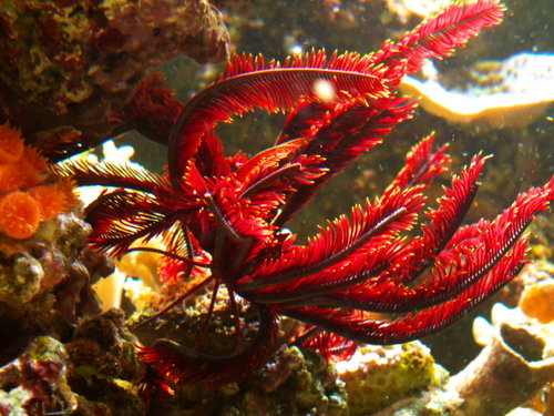 DSCF9790.jpg
