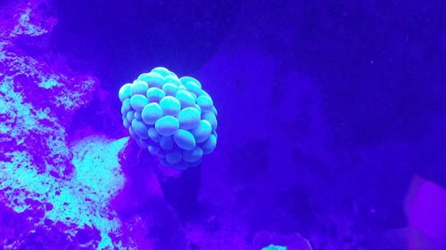 20150131_104254.jpg