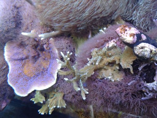 20150130_211413.jpg