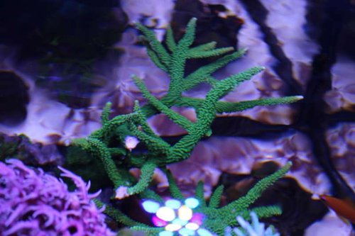 IMG_6069.JPG