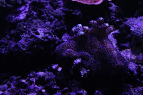 IMG_9020.JPG