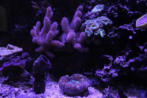 IMG_9136.JPG