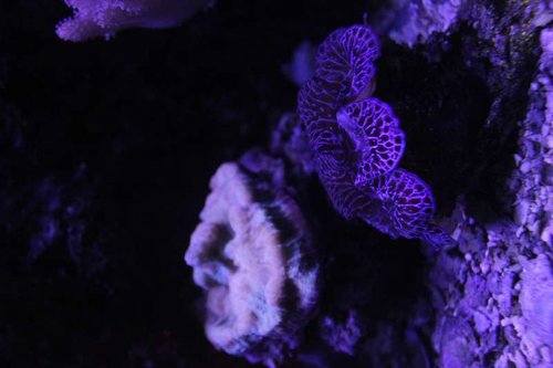IMG_9148.JPG