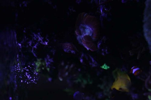 IMG_9257.JPG