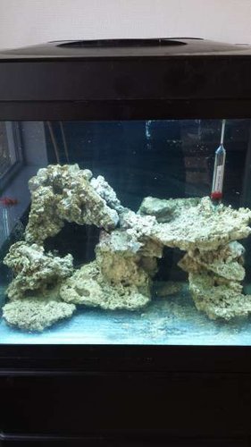 20150210_092442.jpg