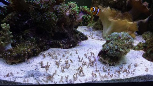 20150212_184127.jpg