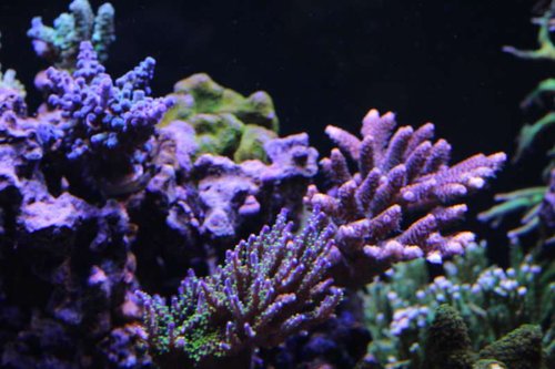 IMG_6170.JPG