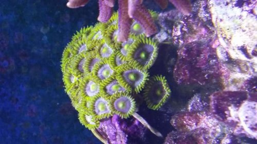 20150213_160755.jpg